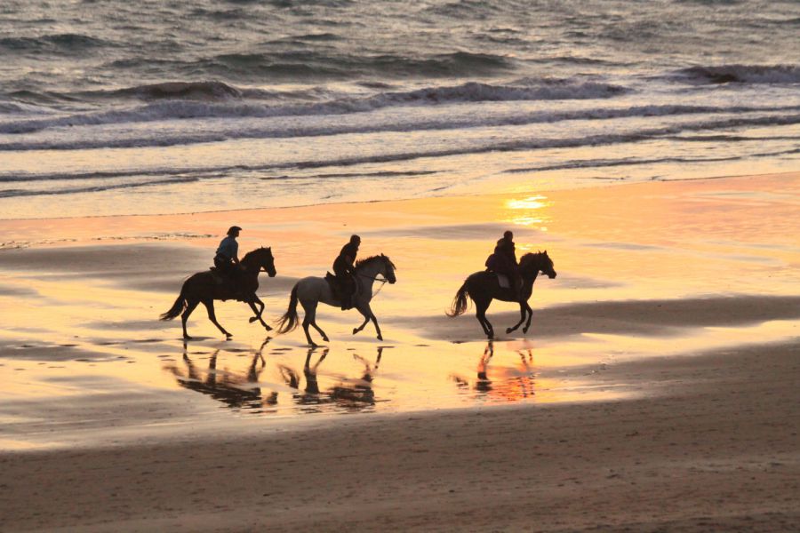 Exploring the Charm of Paphos on Horseback A Uniqu