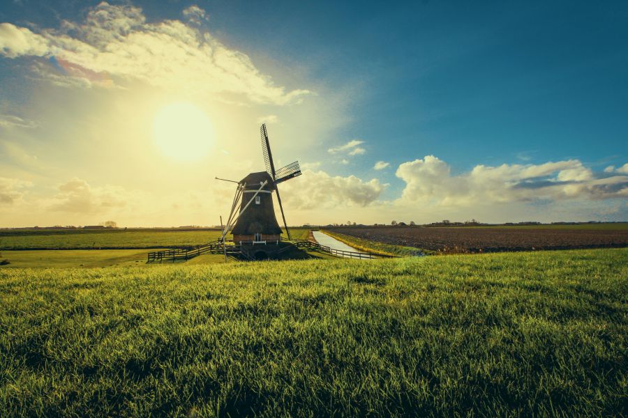 Dutch Royal Visit Highlights Cyprus Netherlands Ag