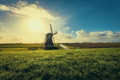 Dutch Royal Visit Highlights Cyprus Netherlands Ag