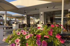 Big surprise Here you get the best breakfast in Ta