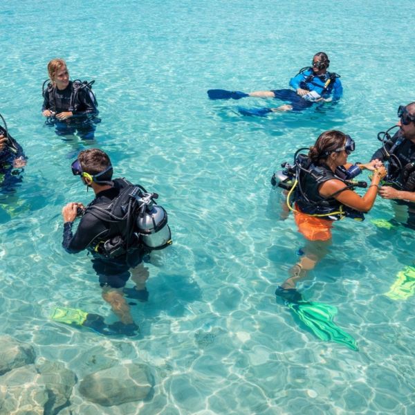 Open Water Diver Course Become Qualified 480 00 EU