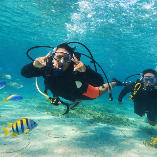 Discover Scuba Diving 85 00 EURPrice per dayGet 10