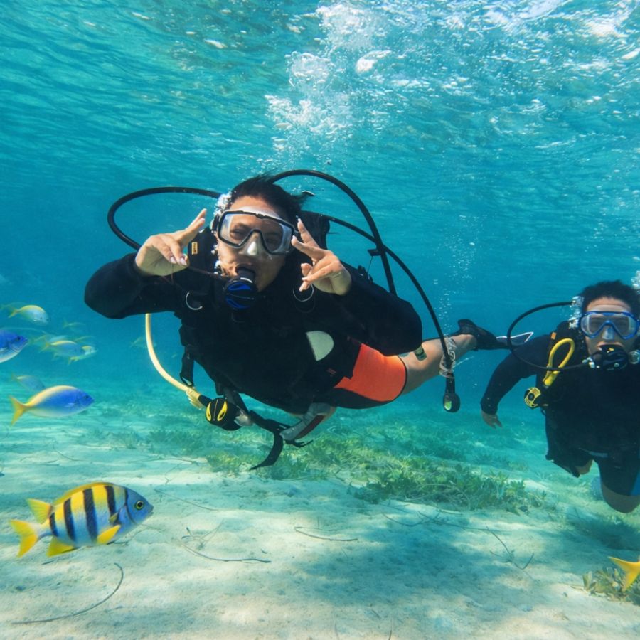 Discover Scuba Diving 85 00 EURPrice per dayGet 10