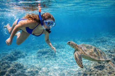 Dive into Adventure at Sun Seals Divers Scenic Div