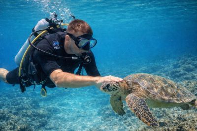 Discover Thrills with Sun Seals Divers Exciting Di