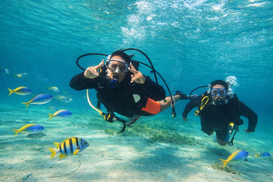 Open Water Diver Course