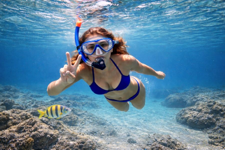 Turtle Watch Snorkeling Trip