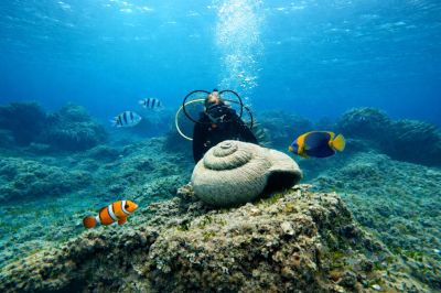 Dive Deeper with Fun Diving School Akamas Peninsul