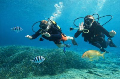 Dive into Exciting NAUI Courses at Blue Lagoon
