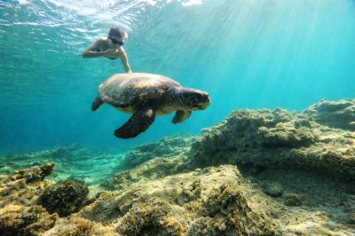 Unwind at Relaxing Dive Centre Paphos Harbour