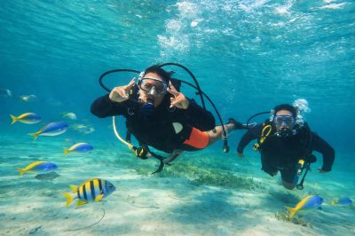 Discover the Best Diving Programs in Kato Paphos