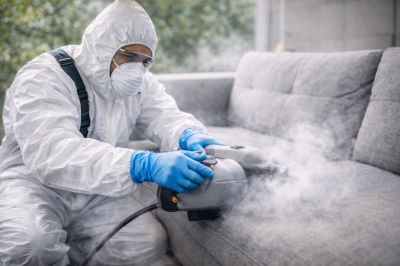 Go Green with Our Eco friendly Car Wash in Tala