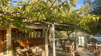 Grill Barbecue Specialties