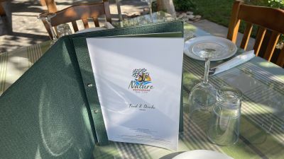 Explore Vegetarian Options at Nature Cafe Restaura