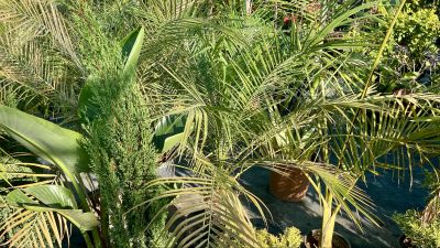 Artistic Floral Styling Sea Caves Express Your Sty