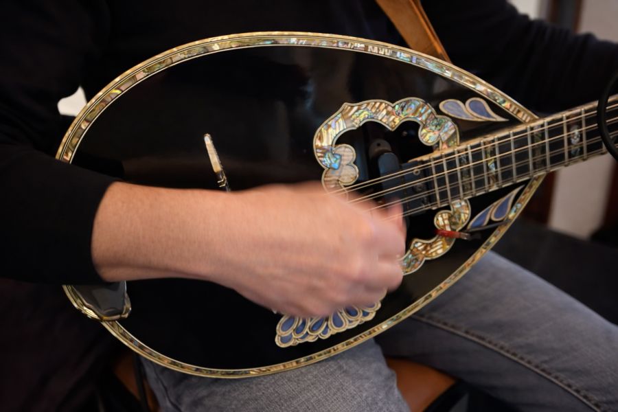 Live Music Entertainment