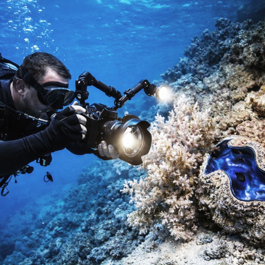 Ocean Insight Package Photography Fish ID Dive Aga